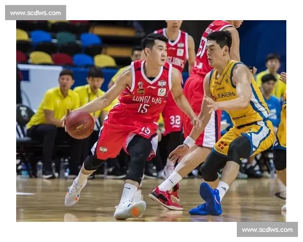 广州龙狮vs辽宁门票怎么买最划算观赛座位选择与抢票攻略